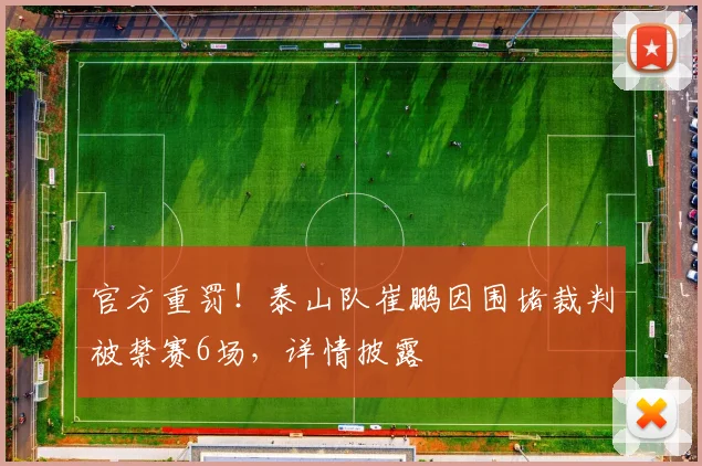 官方重罚!泰山队崔鹏因围堵裁判被禁赛6场,详情披露